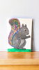 'Colourwood Squirrel' 