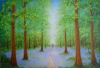 Bluebell walk
