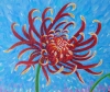 Dancing Chrysanthemum 