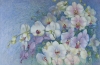 Symphony of Blossoms