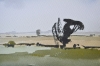 Deeping Bank, Lincolnshire