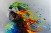 Scream of Freedom