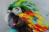 Scream of Freedom