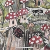 Fairy Dell 