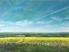 A Dream Of Summer