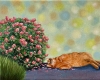 A Lazy Summer Afternoon