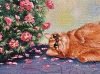 A Lazy Summer Afternoon