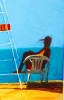 Lifeguard-south Goa