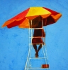 Lifeguard-south Goa