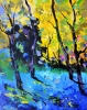 Light in the wood