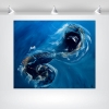 Celestial Currents