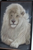 Majesty