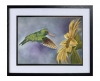 Hummingbird