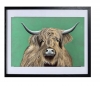 Highland cow