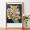 Tree frog