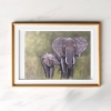 Elephants