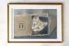 Cat in a box