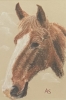 2 Horses