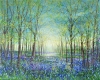 Bluebell Wandering 