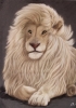 Majesty