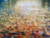 Large Waterlily Pond