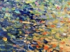 Large Waterlily Pond