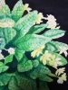 Yellow primroses watercolour 