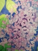 Watercolour lilac blossom 