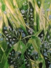 Forget-me-nots watercolour painting 