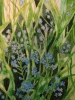 Forget-me-nots watercolour painting 