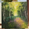 Silver Birch Woods Milkmaids, buttercups