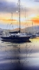 Harbor of Light