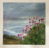Sea Thrift in late Spring