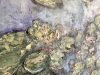Whispers of Waterlilies – Original Impressionist Oil Painting on Unstretched Canvas