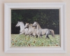 Horses in wildflower meadow