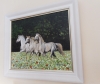 Horses in wildflower meadow