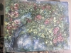 The Roses Dream in Moonlight