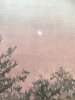 MORNING STAR
