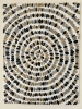 Concentric Harmony