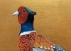 Take a walk on the Wild Side ~ Pheasant on gold