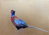 Take a walk on the Wild Side ~ Pheasant on gold