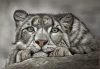 Snow leopard in pastels
