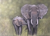 Elephants