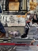 London walk