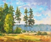 Evening Light