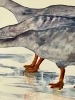 Frosty Gaggle 