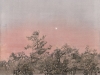 MORNING STAR