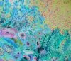 The Peacock 