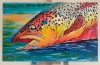 River Flame