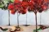 trees of stillness